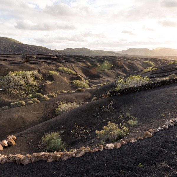 12 touristische Aufnahmen aus Lanzarote