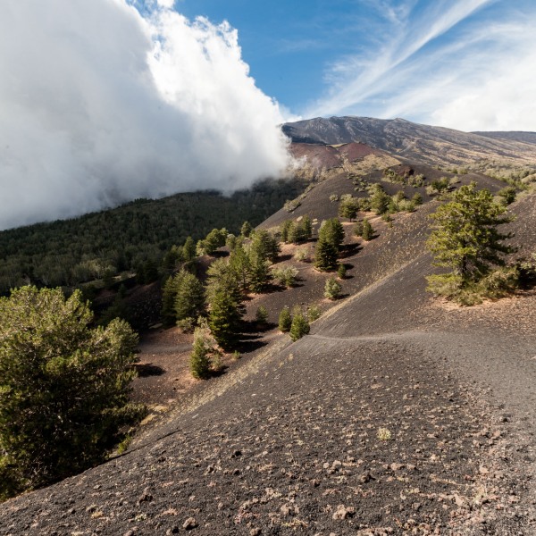 12 touristische Aufnahmen aus Sizilien