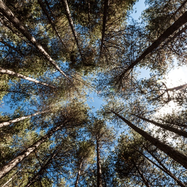 12 touristische Aufnahmen aus Sizilien