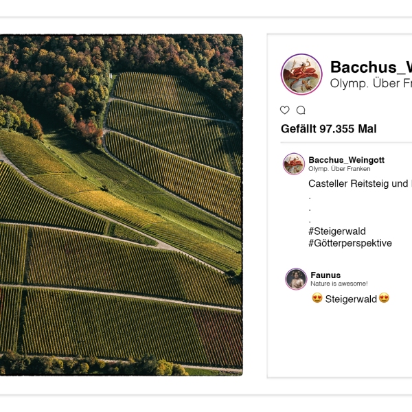 Weingott Bacchus p(r)postet aus dem Olymp