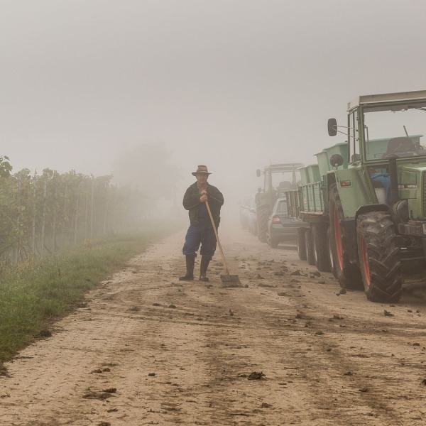Winzerkeller Sommerach