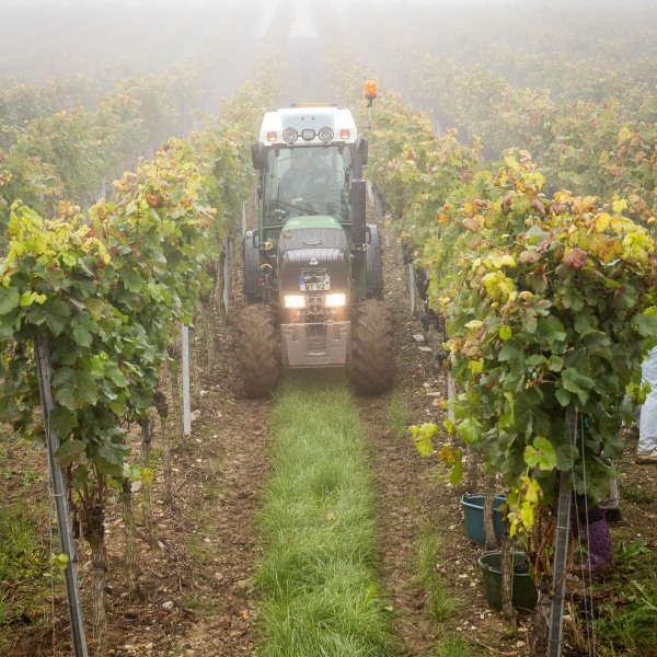 Winzerkeller Sommerach