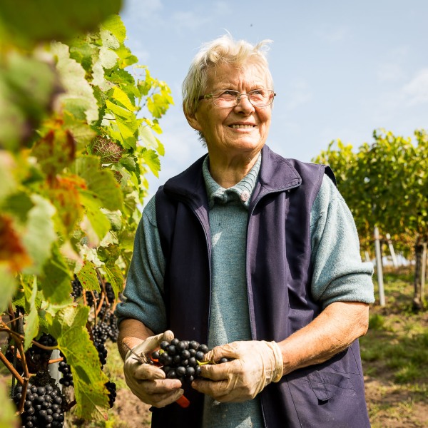 Winzerkeller Sommerach