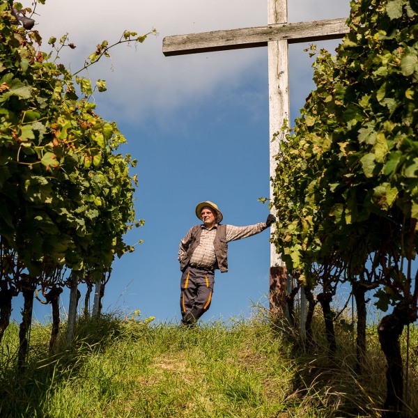 Winzerkeller Sommerach