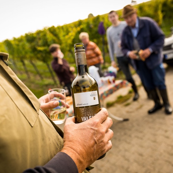 Winzerkeller Sommerach