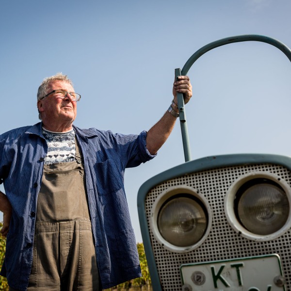 Winzerkeller Sommerach