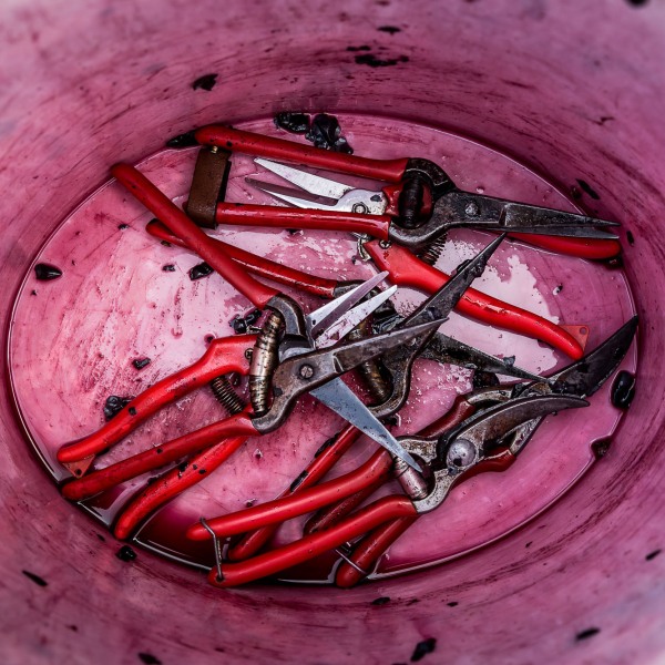 Winzerkeller Sommerach