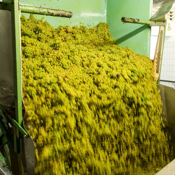 Winzerkeller Sommerach