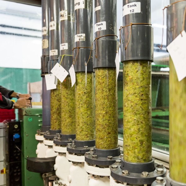 Winzerkeller Sommerach