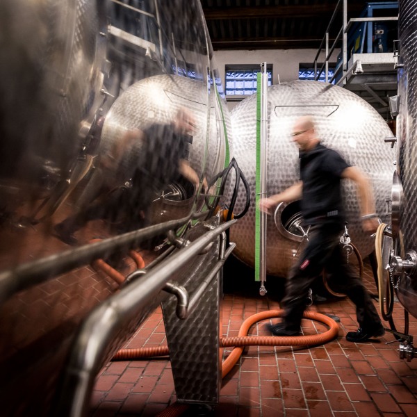 Winzerkeller Sommerach