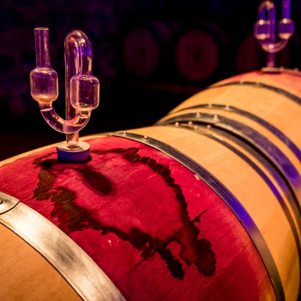 Winzerkeller Sommerach