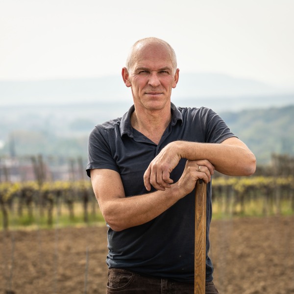 Winzerkeller Sommerach