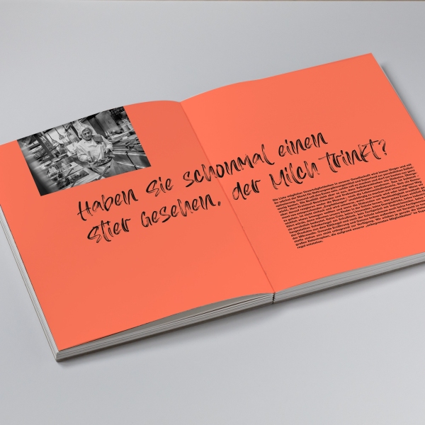 Der Schickimickikoch