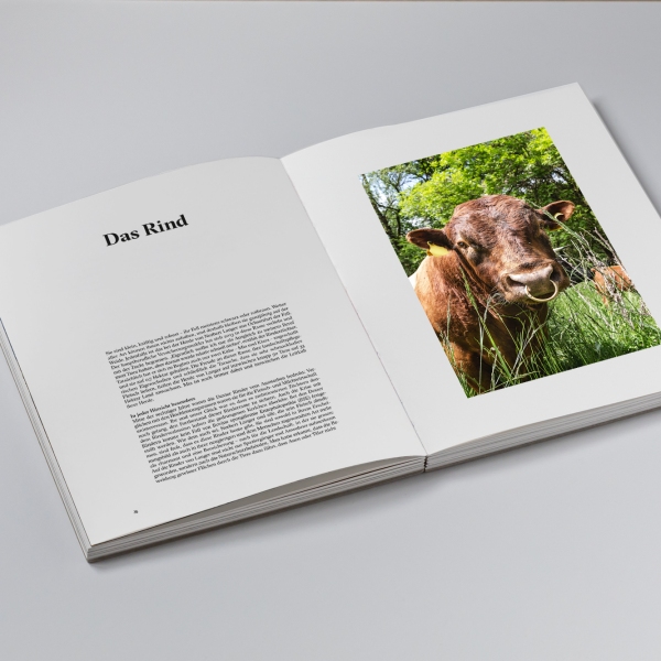 Der Schickimickikoch