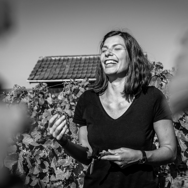 Silvaner Weingut Seufert