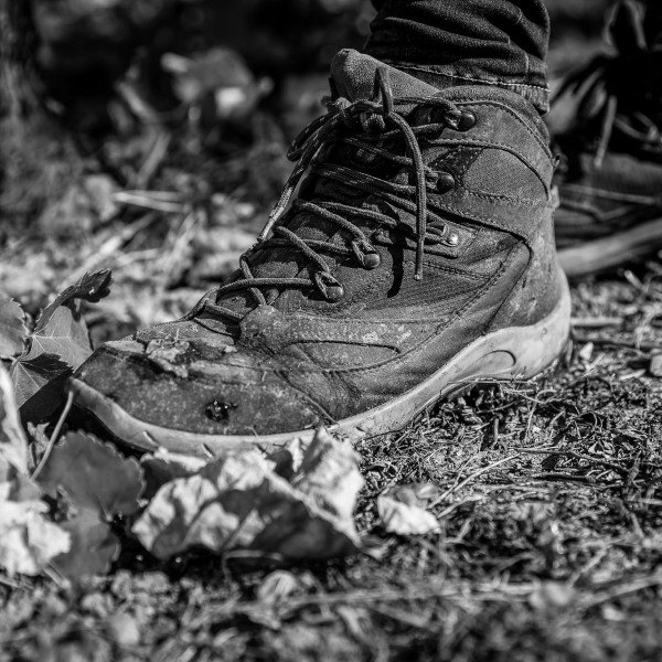 Silvaner Weingut Seufert