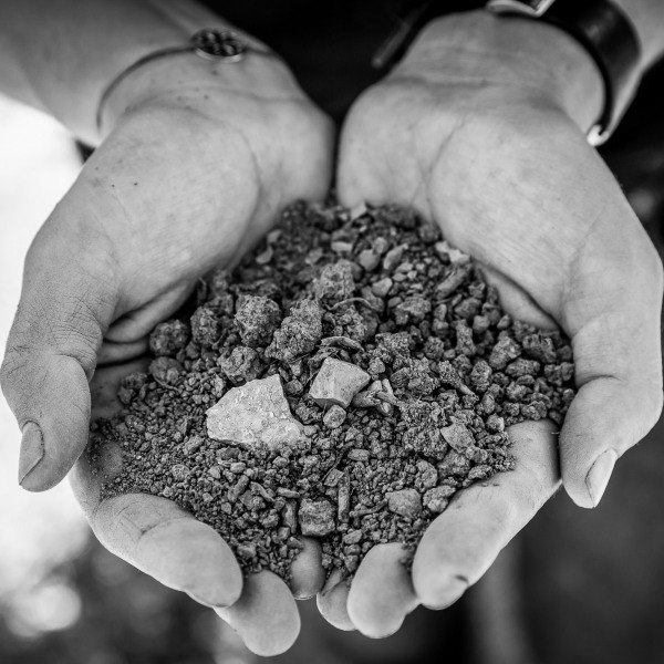 Silvaner Weingut Seufert