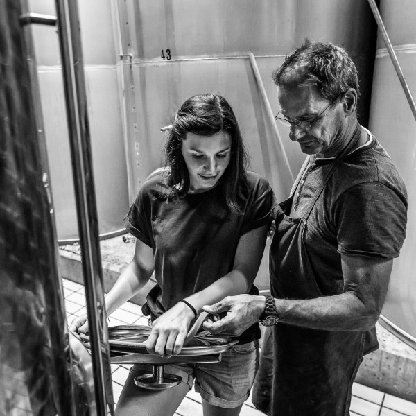 Silvaner Weingut Seufert