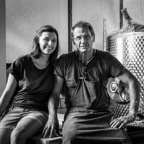 Silvaner Weingut Seufert