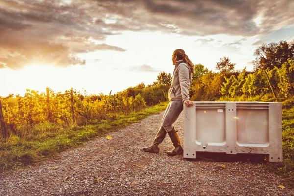 Weingut Franziska Schömig