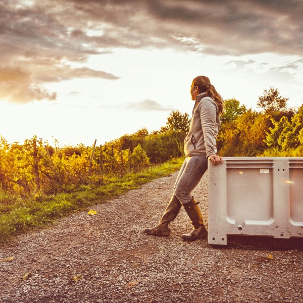 Weingut Franziska Schömig