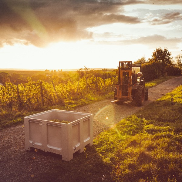 Weingut Franziska Schömig