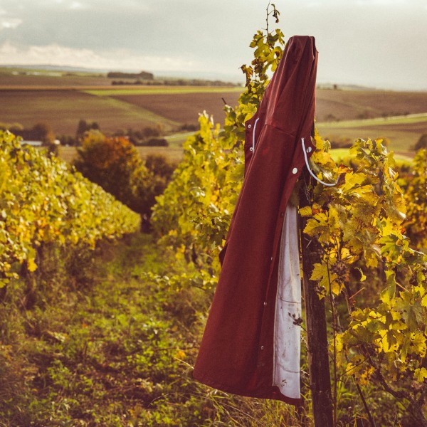 Weingut Franziska Schömig