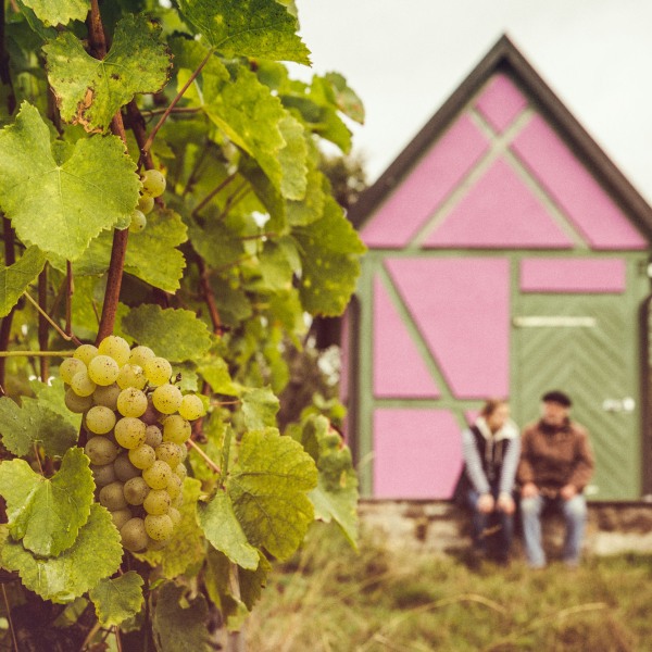 Weingut Franziska Schömig