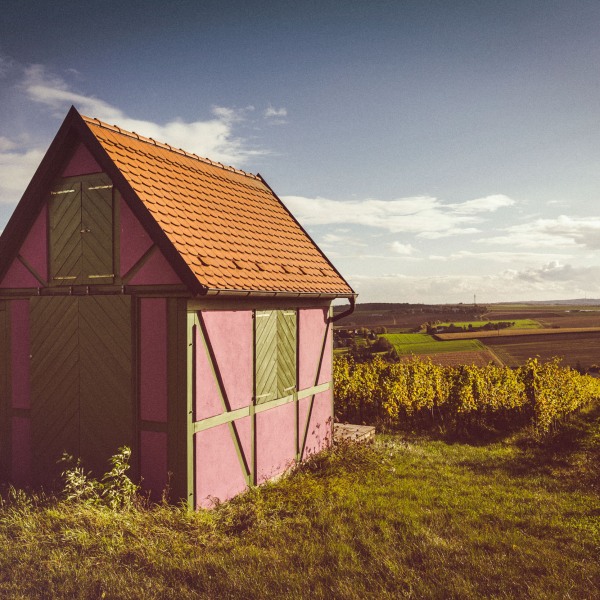 Weingut Franziska Schömig