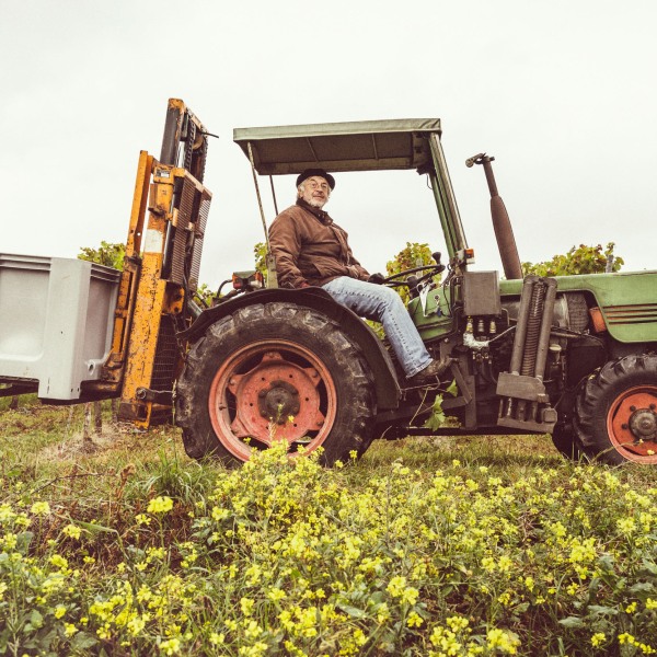 Weingut Franziska Schömig