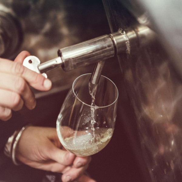 Weingut Franziska Schömig