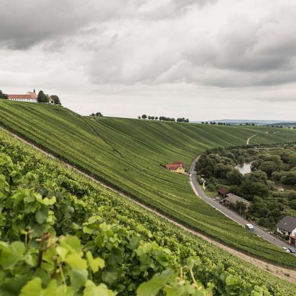 Weingut Horst Sauer