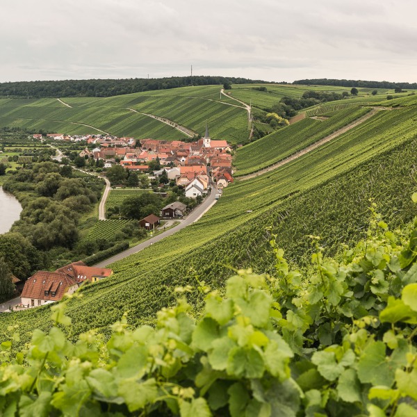 Weingut Horst Sauer