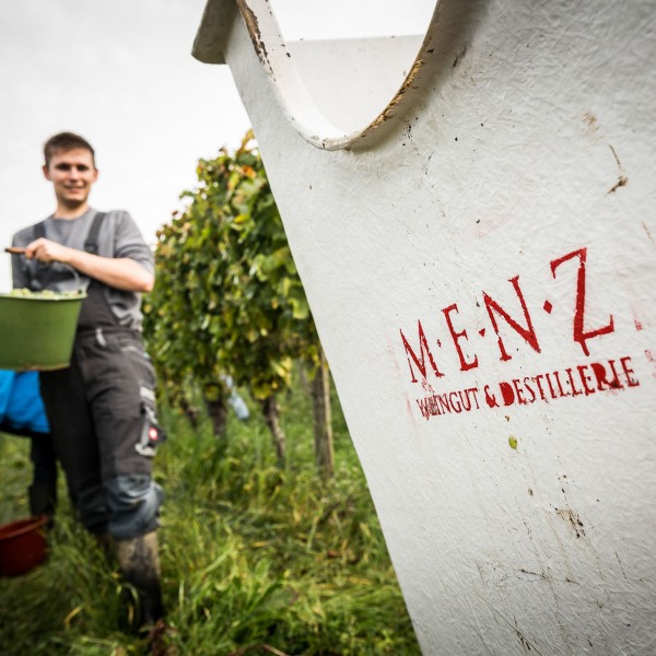 Weingut Menz