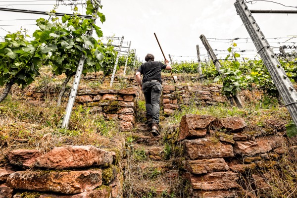Weingut Rudolf Fürst