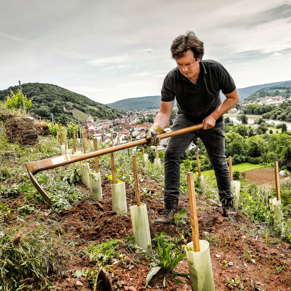 Weingut Rudolf Fürst