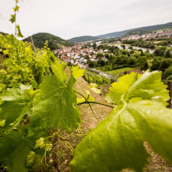 Weingut Rudolf Fürst