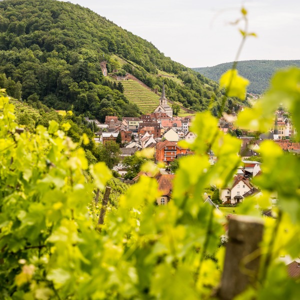 Weingut Rudolf Fürst