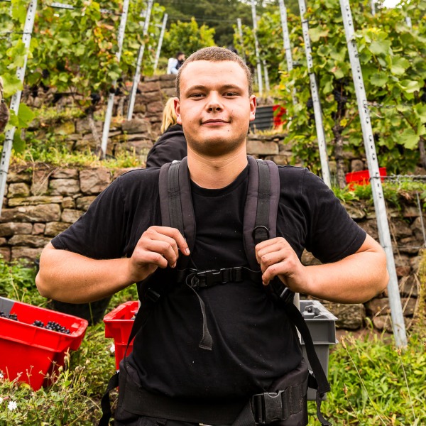 Weingut Rudolf Fürst