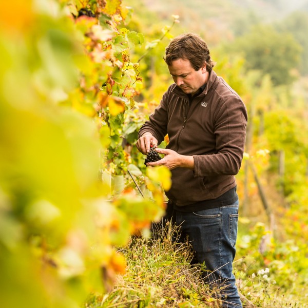 Weingut Rudolf Fürst