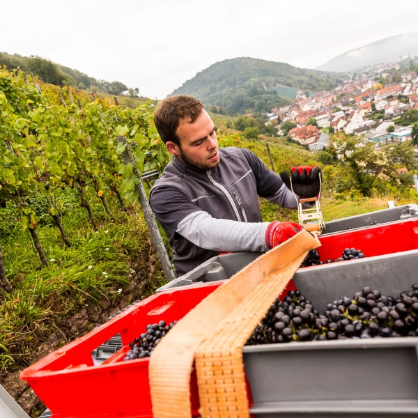 Weingut Rudolf Fürst